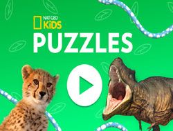 Nat Geo Kids Puzzles