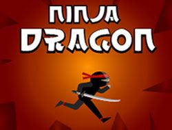 Ninja Dragon