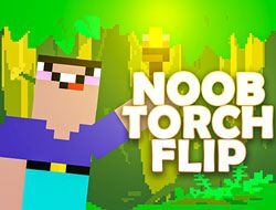 Noob Torch Flip 2D