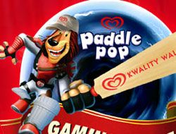 Paddle Pop Quick Cricket