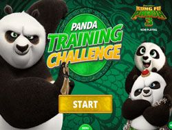 Panda Training Challenge