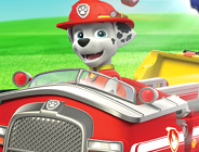 Paw Patrol Academy