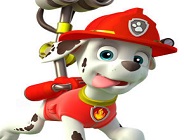 Paw Patrol Differences Spotting