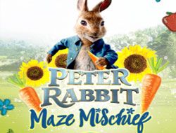 Peter Rabbit Maze Mischief