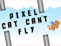 Pixel Cat Cant Fly