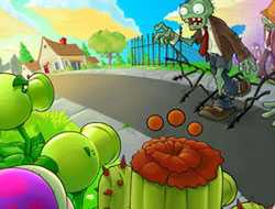 Plants Vs Zombies