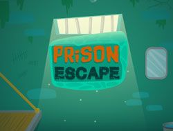 Prison Escape