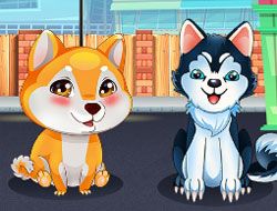 Puppies Salon Caring And Grooming