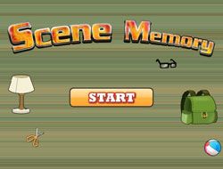 Scene Memory