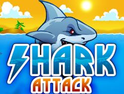 Miami Shark - 🕹️ Online Game