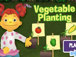 Sid the Science Kid Vegetable Planting