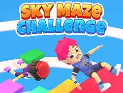 Sky Maze Challenge