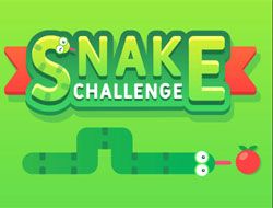 Snake Challenge