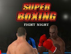 Super Boxing Fight Night