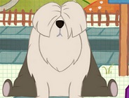 The Big Dog Problem