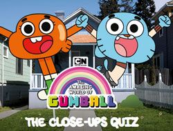 The Close-Ups Quiz