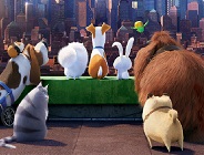 The Secret Life of Pets Find Objects