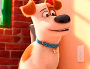 The Secret Life of Pets Memory