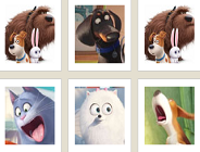 The Secret Life of Pets Memory Game