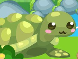 Turtle Dash