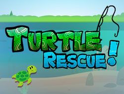 Turtle Rescue