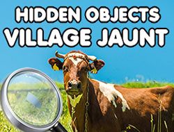 Village Jaunt Hidden Objects