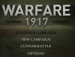 Warfare 1917