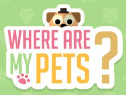 Where Are My Pets