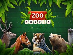 Zoo Trivia