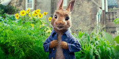 Peter Rabbit Games