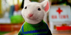 Stuart Little Games