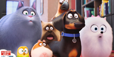 The Secret Life of Pets Games