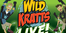Wild Kratts Games